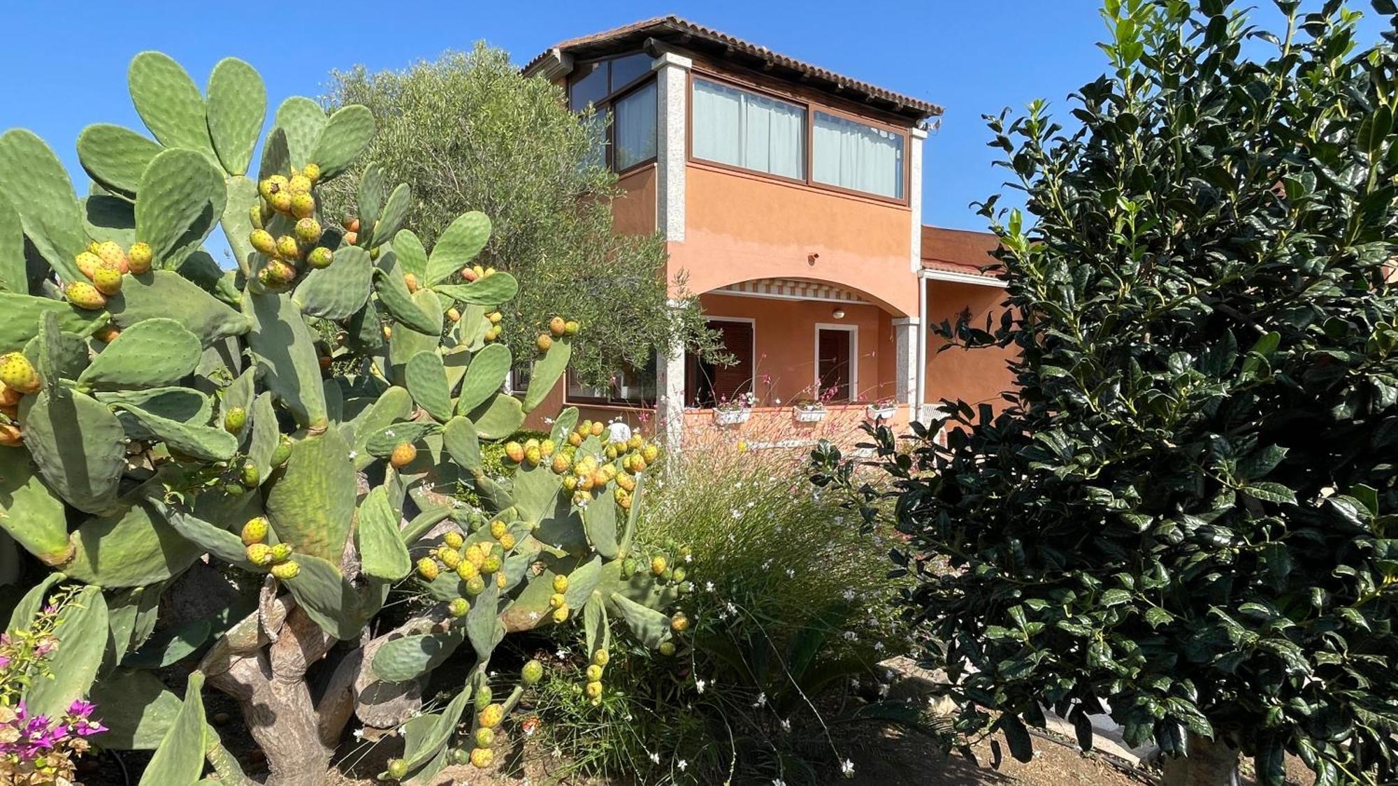 Sardegna - Villa Mirto & Flowers Olbia Eksteriør billede